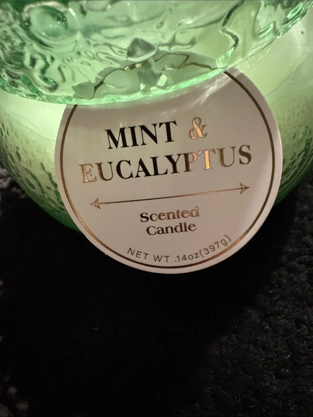 Mint & Eucalyptus Luxury 2-Wick Candle NEW 🏷️